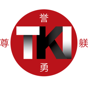 Teens & Adults – Twinsburg Karate Institute